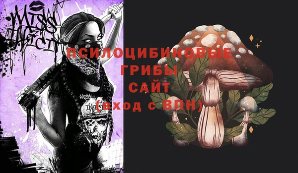 герыч Бронницы