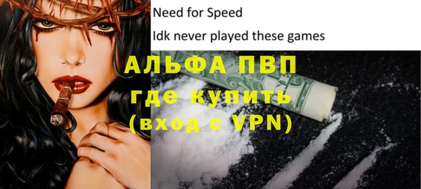 ешки Богданович