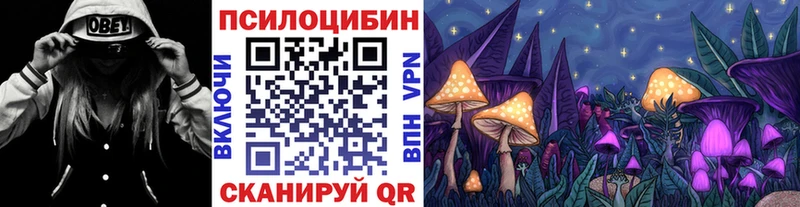 Псилоцибиновые грибы Psilocybe  Белово 